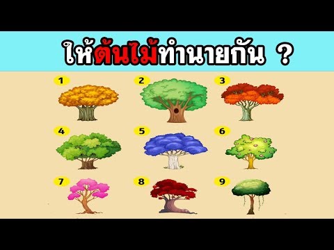 Asanas โยคะสำหรับความอ่อนแอ ผสมครีมสำหรับแรง