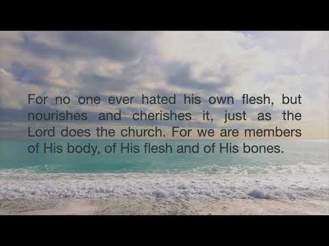 Ephesians Efesios 5:29-30