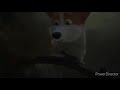 The Queens Corgi Underwater Scene Rex S Puffy Cheeks And Bubbles