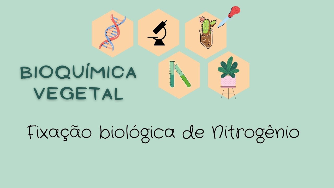 Fixação biológica  de Nitrogênio