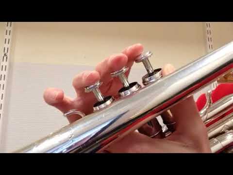 Bojan - melodi - trumpet - övningshjälp