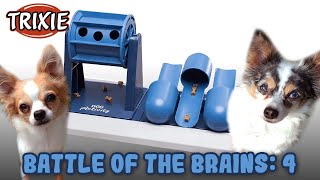 Battle of The Brains 4: A Challenging Dog Strategy Game By Trixie! Poker Box Vario 2, Dog Games