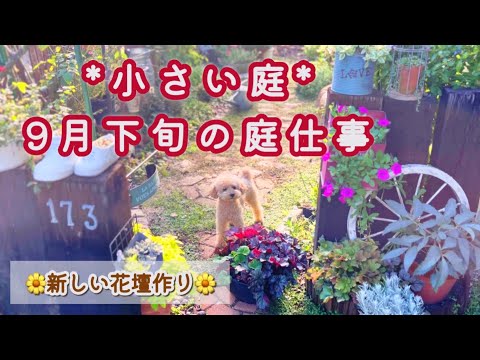 開花後:来年のために花の種を集めます。 庭の練習