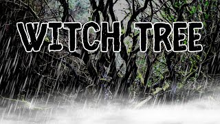 Exploring The Witch Tree: A Spooky Encounter In The Rainy Woods