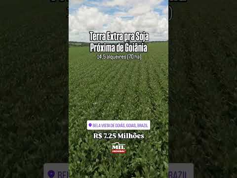 FAZENDINHA PRODUTIVA COM TERRA EXTRA PRÓXIMO A GOIÂNIA #fazendaavenda #agro #fazenda