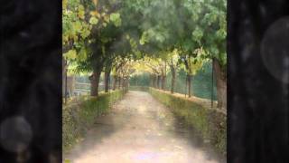 Mando Diao - Ochrasy (with lyrics and german)