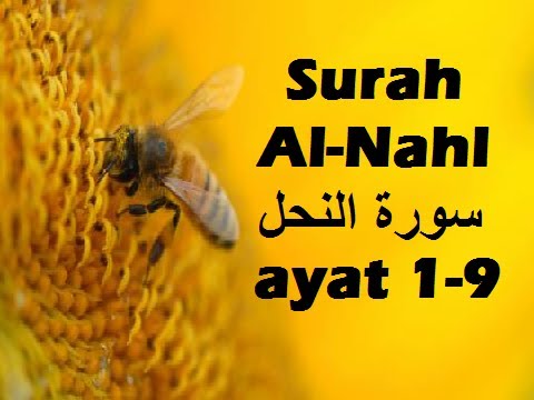 2012/10/01 Ustaz Shamsuri 748 - NE2 Surah An-Nahl ayat 1-9