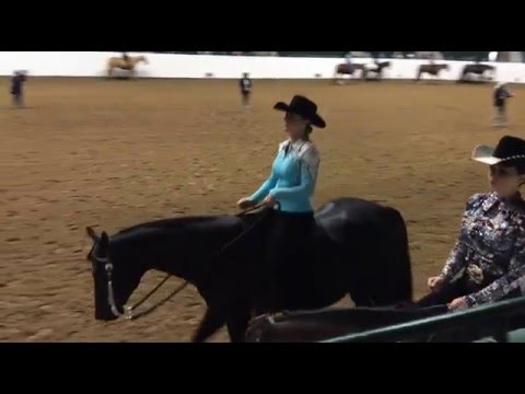 Only Hot Kisses - 2015 WSCA Champshow Bareback
