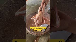 Download lagu Lihat caranya potong ayam kampung menjadi 4 bagian #ayam #viral #shorts #chicken #animals #fyp mp3