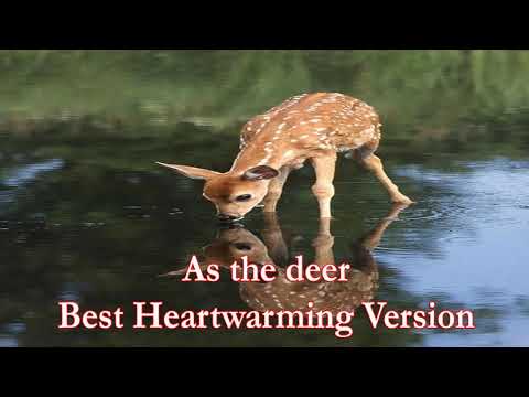 As The Deer - Heartwarming Version I Christian Worship Song I Praise and Worship I Gospel Songs