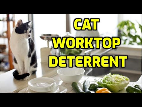 How To Keep Cats Off The Kitchen Counter