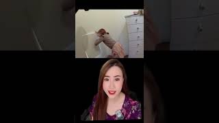 Download lagu BOCIL KAGET LIAT PINTU RAHASIA DI RUMAH‼️‼️ #shorts #filmpendek mp3 Download lagu BOCIL KAGET LIAT PINTU RAHASIA DI RUMAH‼️‼️ #shorts #filmpendek mp3