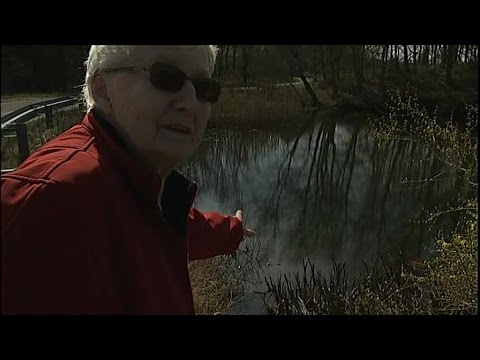 , title : 'Bævere ødelægger Gerdas sø: Send dem til København! - DR Nyheder'