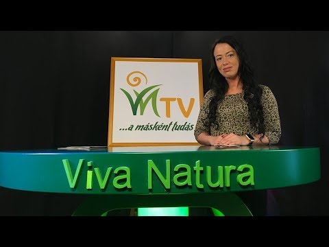 Egyre többen halnak bele a jól-lét betegségeibe! - Szabó Nikolett, Jakab István