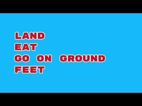 Fun 4 Everyone But it Rhymes (Family Friendly)