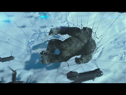 Kong in Antarctica (no background music) - Godzilla vs Kong