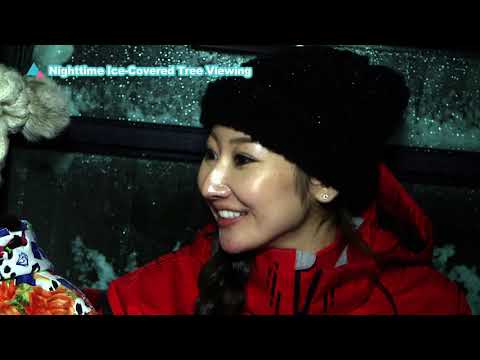 Watching the Ice-Covered Tree in the evening 90sec Ver.（English subtitles）