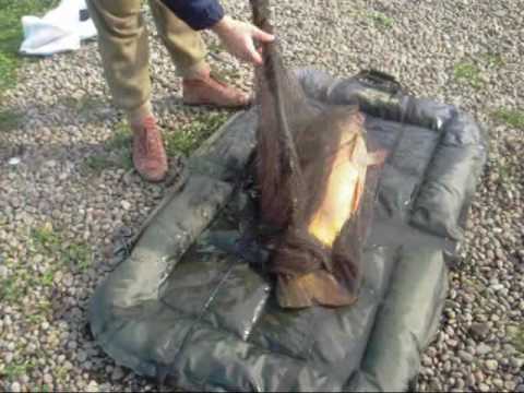 Crap 13 kg Dumbravioara Lacul 2