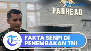 Fakta Kasus Penembakan Sesama Anggota TNI di Kafe Palembang, Sertu MRR dan DS jadi Tersangka