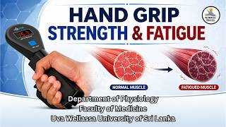 Hand Grip Strength and Fatigue
