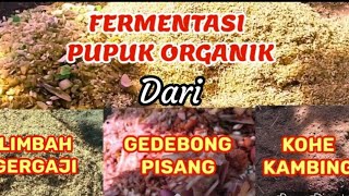 Download lagu How to Make Organic Fertilizer from Banana Trunks, Goat Manure, and Sawdust mp3