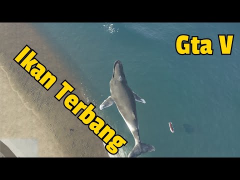 Ikan Hiu Darat Vs Ikan Paus Terbang Gta 5 Mods