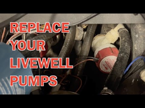 How To Replace The Livewell Pumps On Your Boat