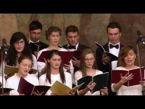 Consonantis - Tu esti odihna mea