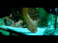 Kabootar Ja Ja Ja Maine Pyar Kiya 720p HD Song