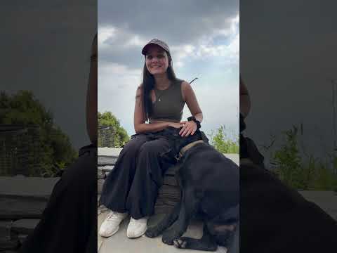 This is so funny😆# #funny #pets #comedy #dog #youtubeshorts #viral