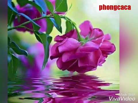 Thể hiện bởi Trường Vũ