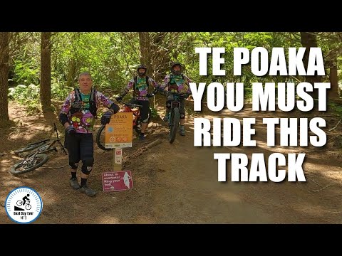 Te Poaka. You must ride this track.