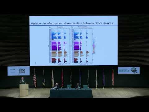 Impact of dengue virus genetic diversity on inhibition by Wolbachia