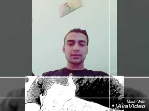 Mandi nushitulla per vasili 2017