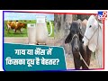 Cow और Buffalo के दूध में कौन सा दूध आपके लिए ब�