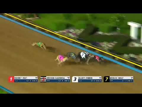 Rocket Riot wins at The Meadows