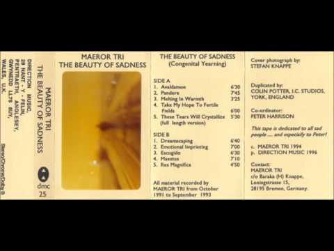 Maeror Tri - The Beauty of Sadness (full album)