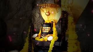 Download lagu கயிலை மலை வாசனே | Short feed | viral | Rending | yt short mp3
