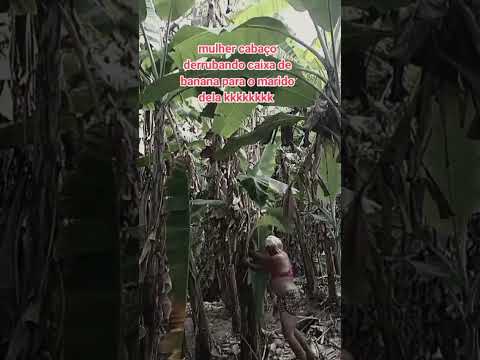 mulher cabaço em Uruburetama ceará #humor