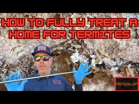 Treating Termites On A Home: Complete Guide and Breakdown
