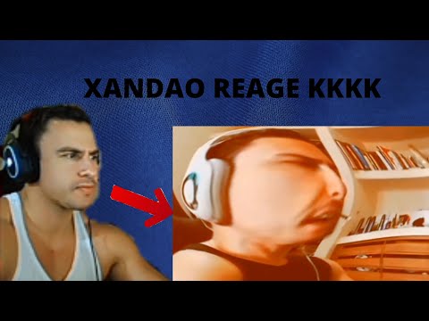 XANDAO REAGE: YTPBR SUPER CHÃO