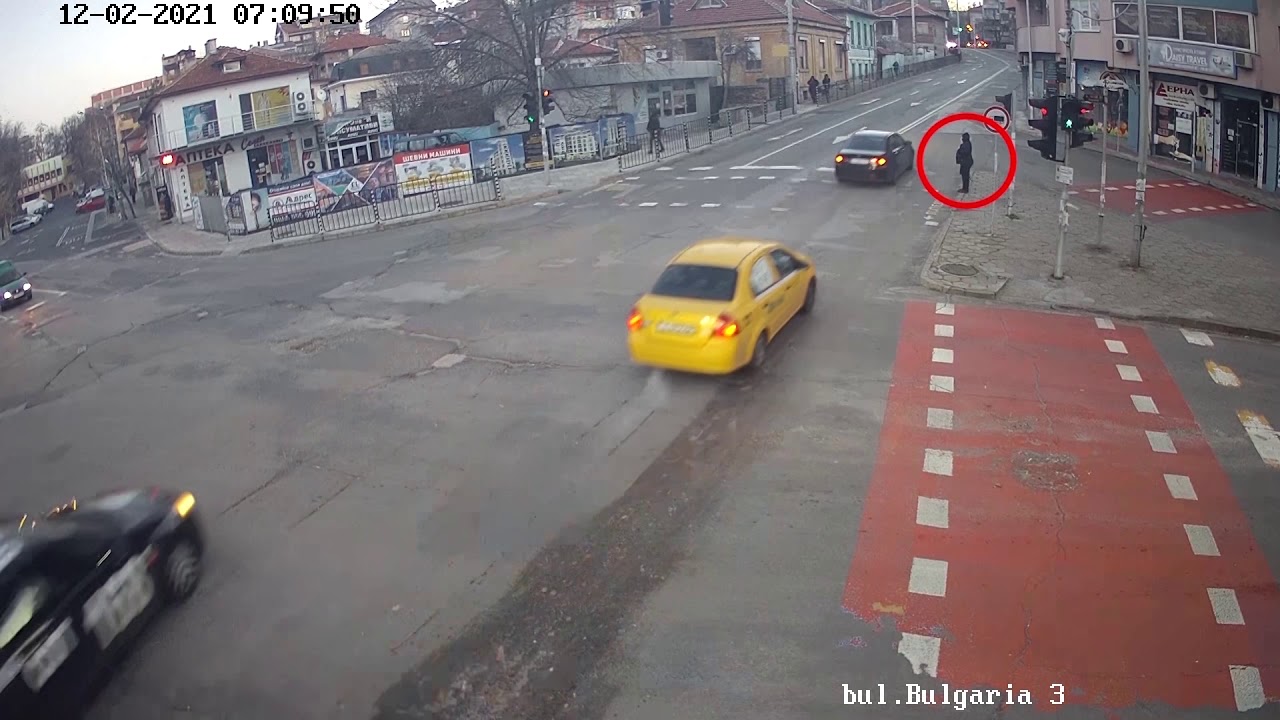 Падналата топола в центъра на Хасково за малко не взе човешки живот