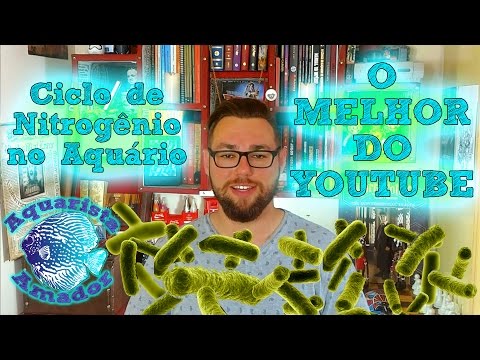 FILTRAGEM: Ciclo de Nitrogênio no aquário – O melhor do youtube