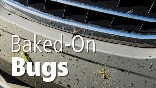 How To Clean Bugs Off Your Car