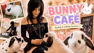 🐰 I Spent the Day at a Bunny Café ☕ | Feeding & Petting the Cutest Bunnies