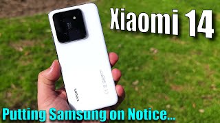 Xiaomi 14: The Better Smaller Premium Phone! (International Version)