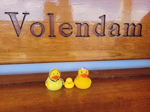 Thumbnail for Stateroom 2547 Holland America Volendam #hollandamerica #room #roomtour #volendam #cruise #vacation