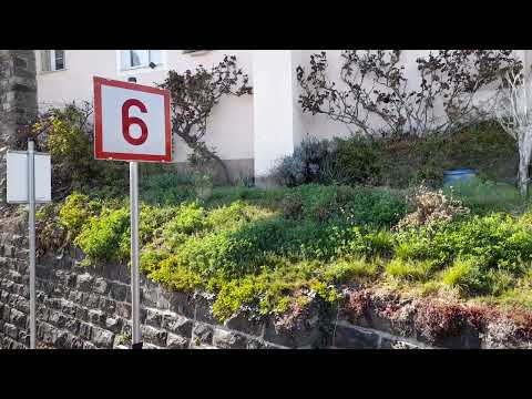 von Dürnstein-oberloiben nach Krems mit der Wachaubahn um kurz nach 15:25 am 10.04.2023
