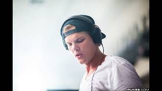 Avicii - Let Me Show You Love (New Leak)