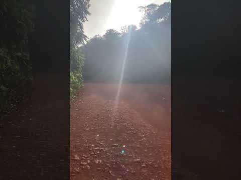 Dirigindo pela Floresta Amazônica - Região  Mazagão - AP - Setembro 2026